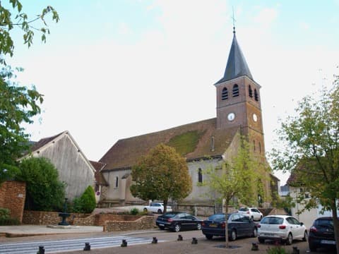 Élagueur Champignelles
