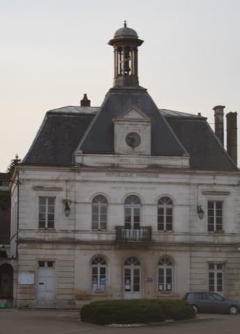 Élagueur Coulanges-sur-Yonne