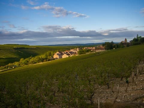 Élagueur Courgis