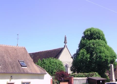 Élagueur Cudot