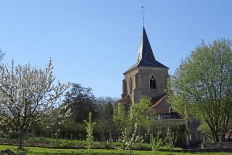Élagueur Dissangis