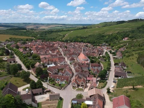 Élagueur Irancy