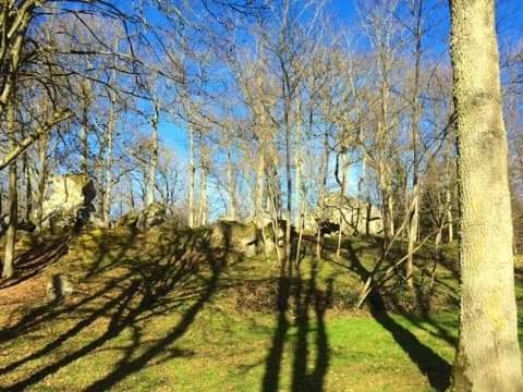 Élagueur Les Bordes