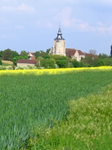 Élagueur Poilly-sur-Tholon