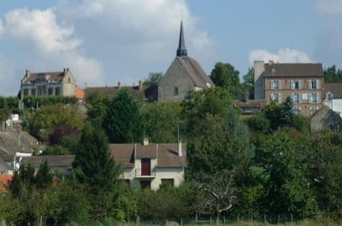 Élagueur Saint-Agnan