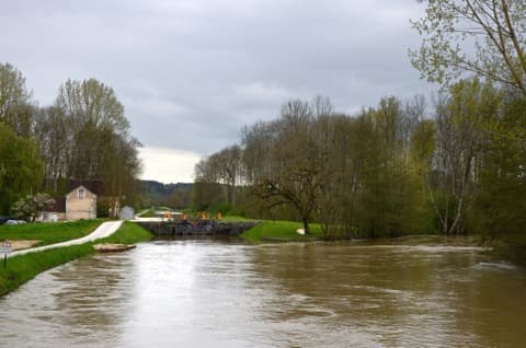 Élagueur Sery
