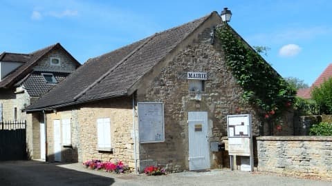 Élagueur Thizy