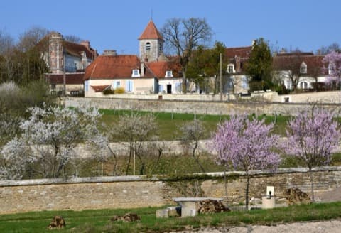 Élagueur Tronchoy