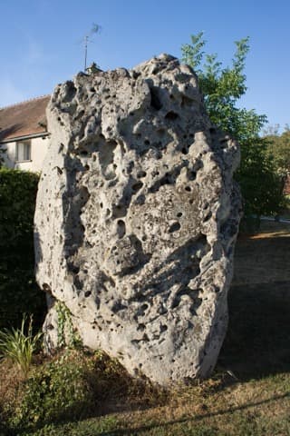 Élagueur Vaumort