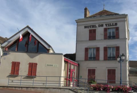 Élagueur Villeneuve-la-Guyard