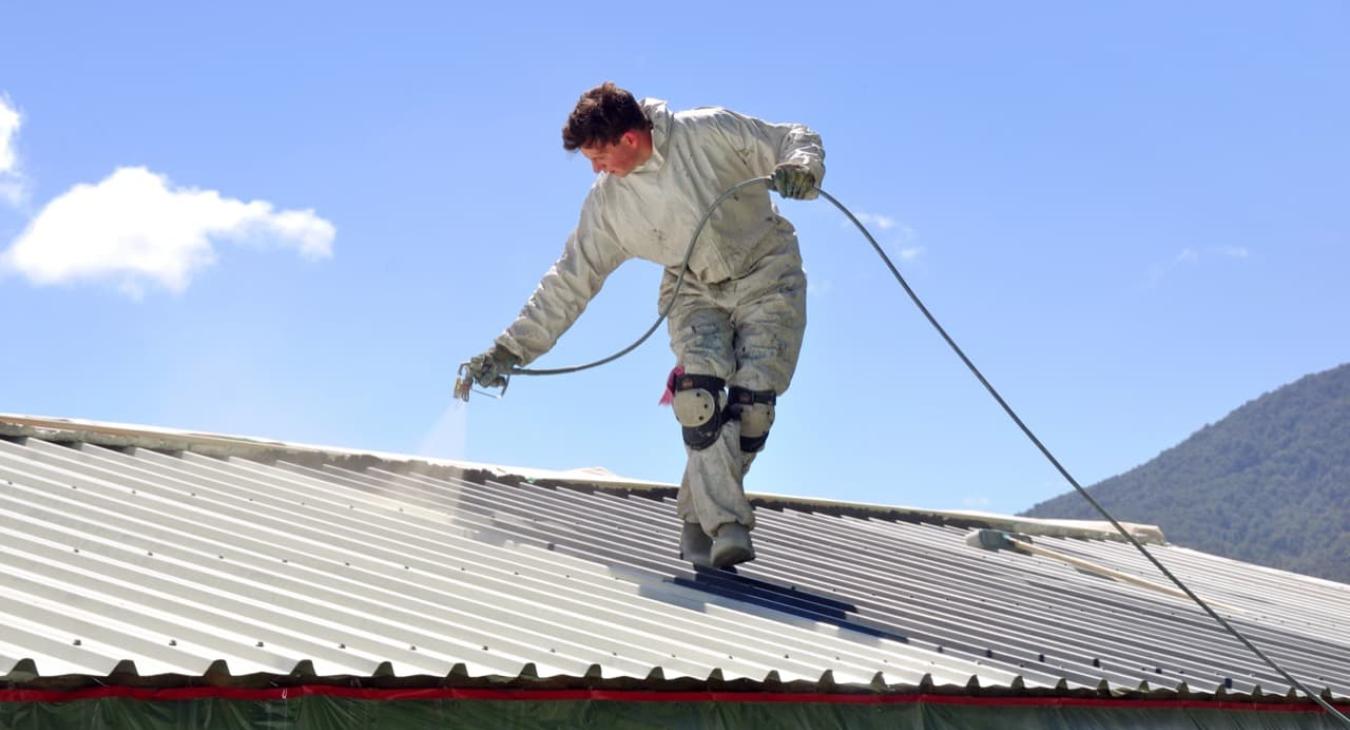 Nettoyage de toiture, Peinture & Hydrofugation de toit 89 Yonne